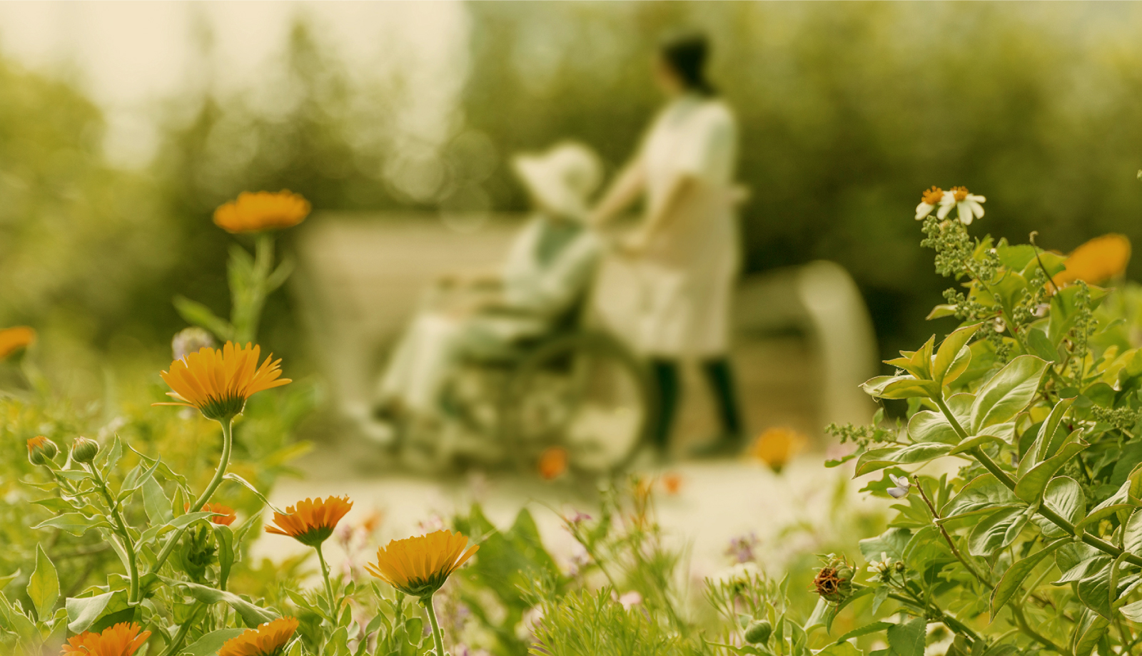 恵の会について（花と人の風景）